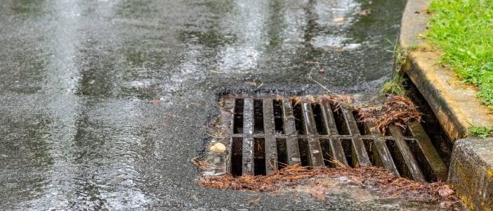 Leaves and debris piling up on a storm drain